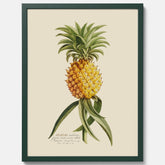 Kökstavla med en Ananas Poster – Plansch till köket, Skolposter, köksposter, tavla till kök, poster till kök