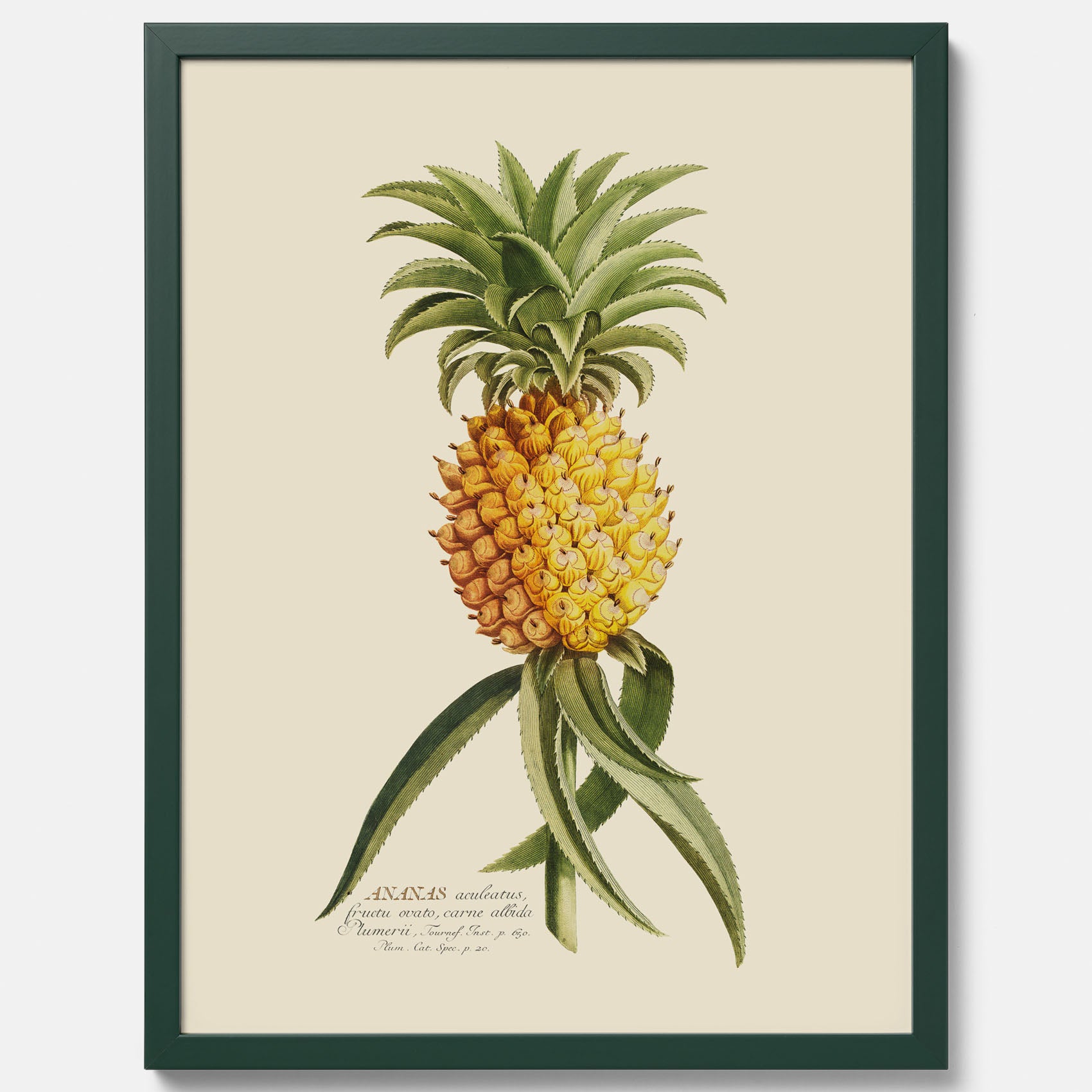 Kökstavla med en Ananas Poster – Plansch till köket, Skolposter, köksposter, tavla till kök, poster till kök