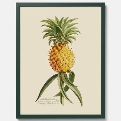Kökstavla med en Ananas Poster – Plansch till köket, Skolposter, köksposter, tavla till kök, poster till kök