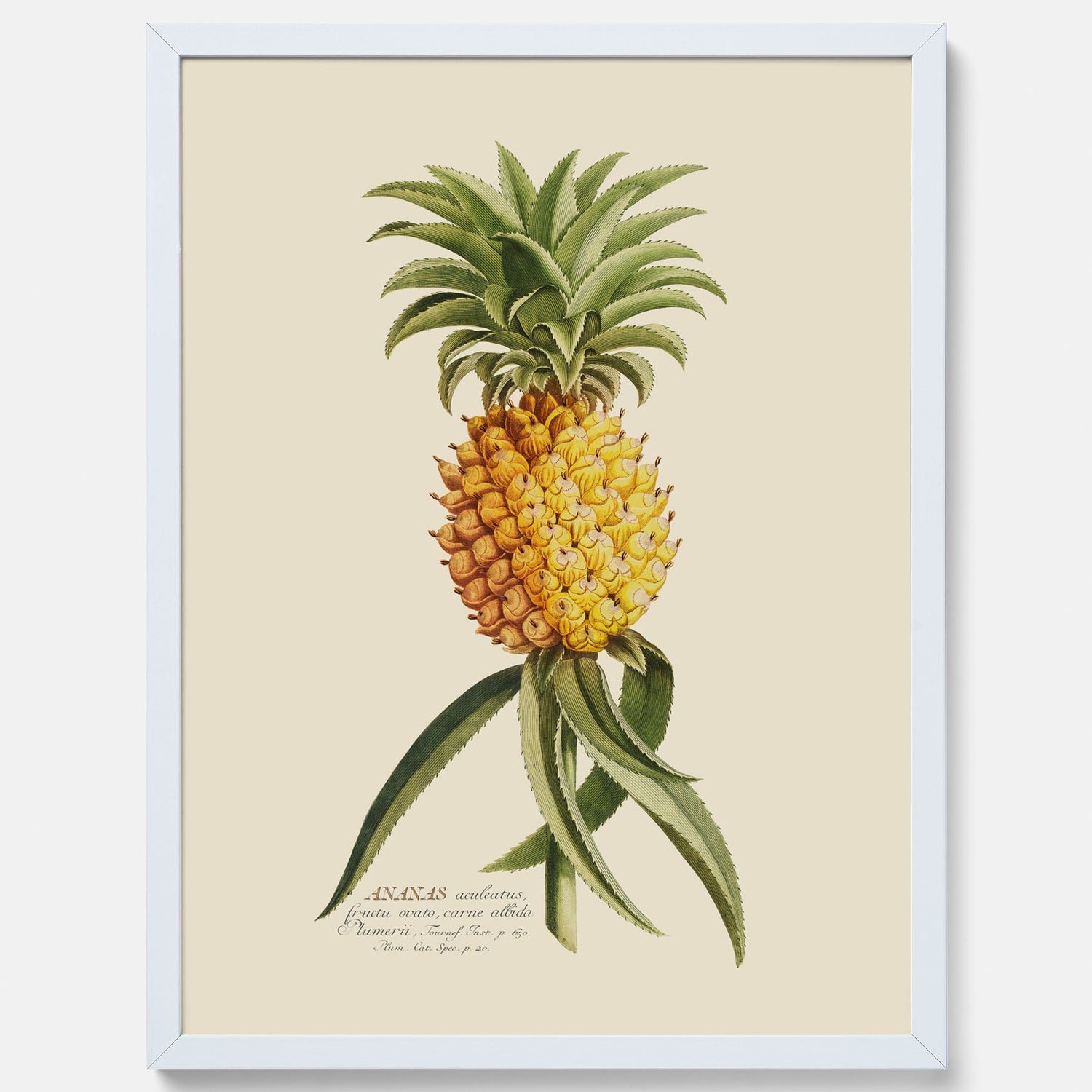 Kökstavla med en Ananas Poster – Plansch till köket, Skolposter, köksposter, tavla till kök, poster till kök