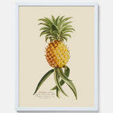 Kökstavla med en Ananas Poster – Plansch till köket, Skolposter, köksposter, tavla till kök, poster till kök