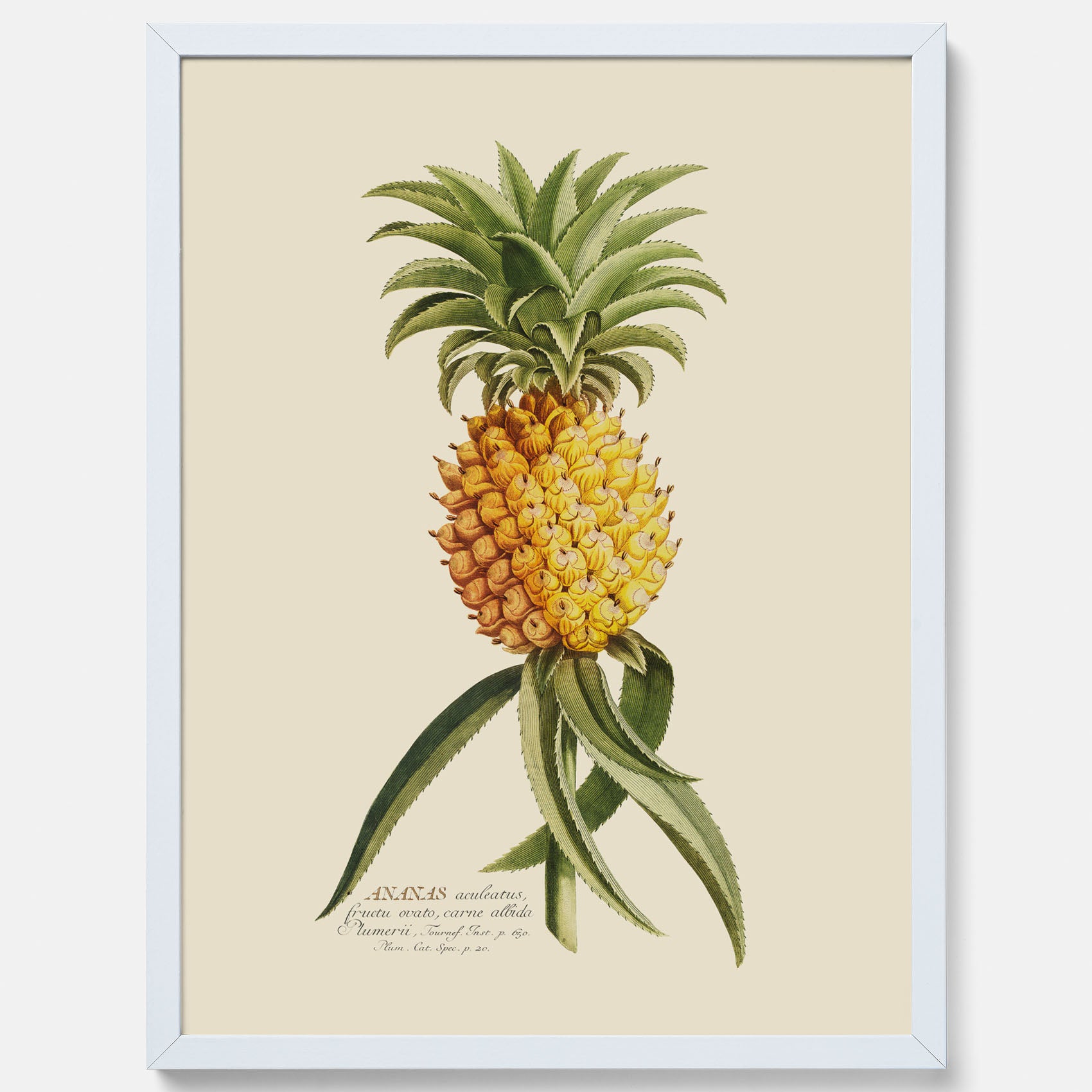 Kökstavla med en Ananas Poster – Plansch till köket, Skolposter, köksposter, tavla till kök, poster till kök