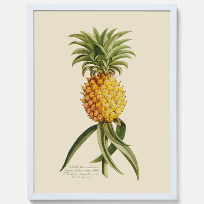 Kökstavla med en Ananas Poster – Plansch till köket, Skolposter, köksposter, tavla till kök, poster till kök