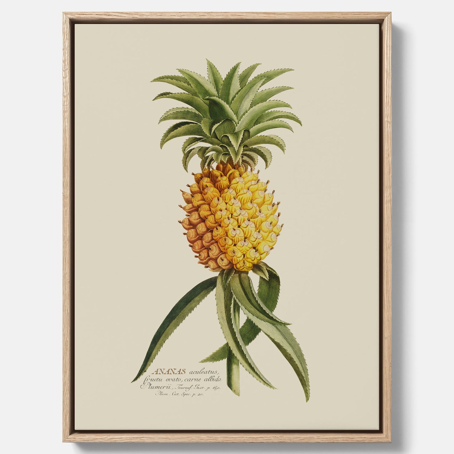 Kökstavla i canvas med en Ananas – Plansch till köket, Skolposter, köksposter, tavla till kök, poster till kök