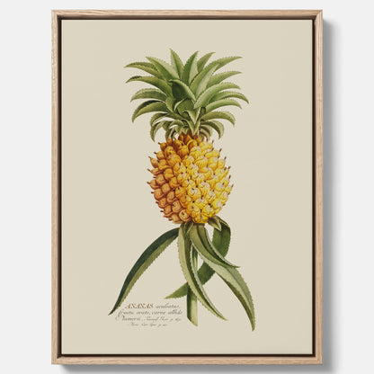 Kökstavla i canvas med en Ananas – Plansch till köket, Skolposter, köksposter, tavla till kök, poster till kök