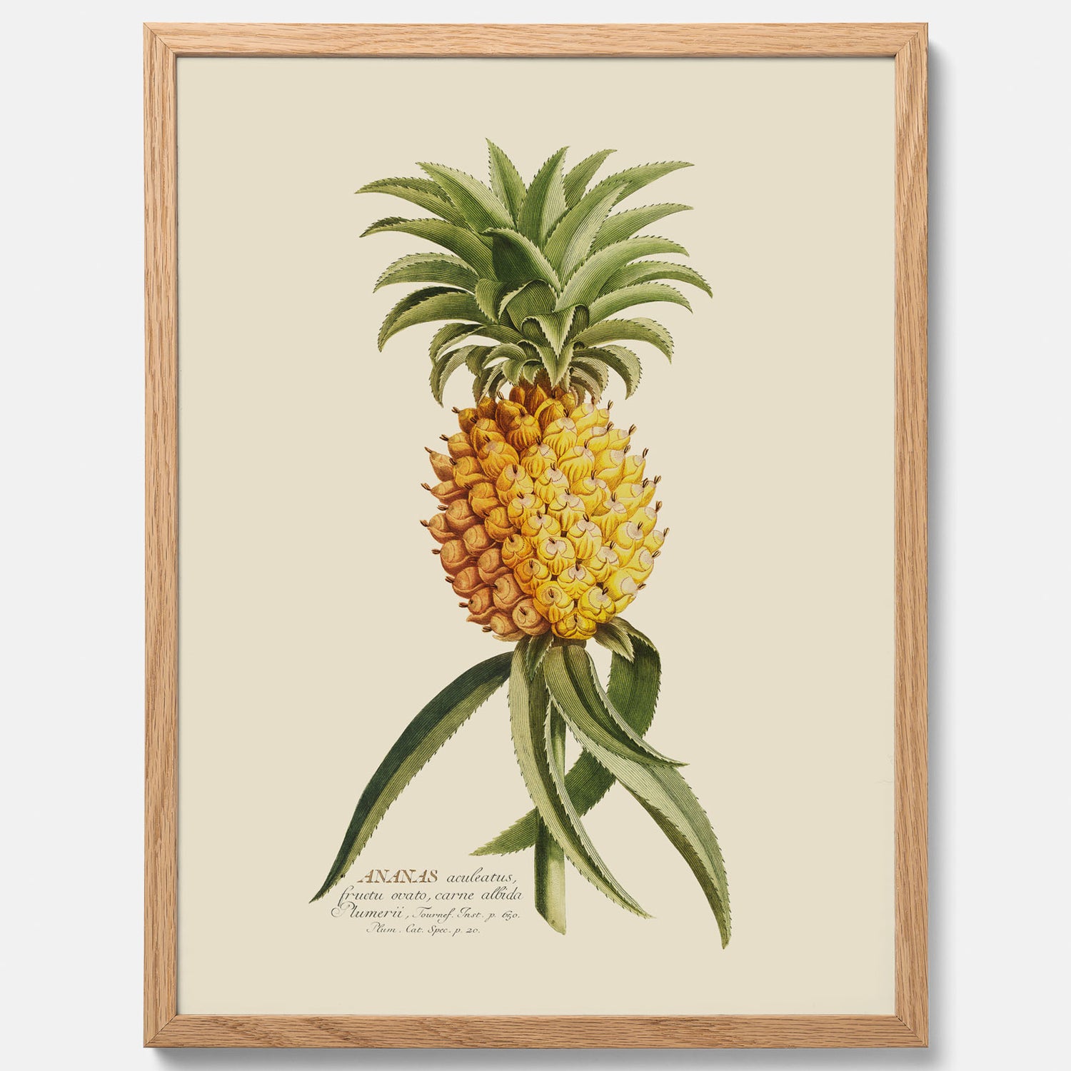 Kökstavla med en Ananas Poster – Plansch till köket, Skolposter, köksposter, tavla till kök, poster till kök