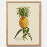 Kökstavla med en Ananas Poster – Plansch till köket, Skolposter, köksposter, tavla till kök, poster till kök