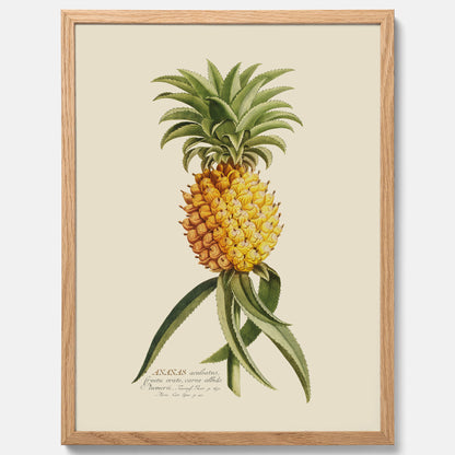 Kökstavla med en Ananas Poster – Plansch till köket, Skolposter, köksposter, tavla till kök, poster till kök