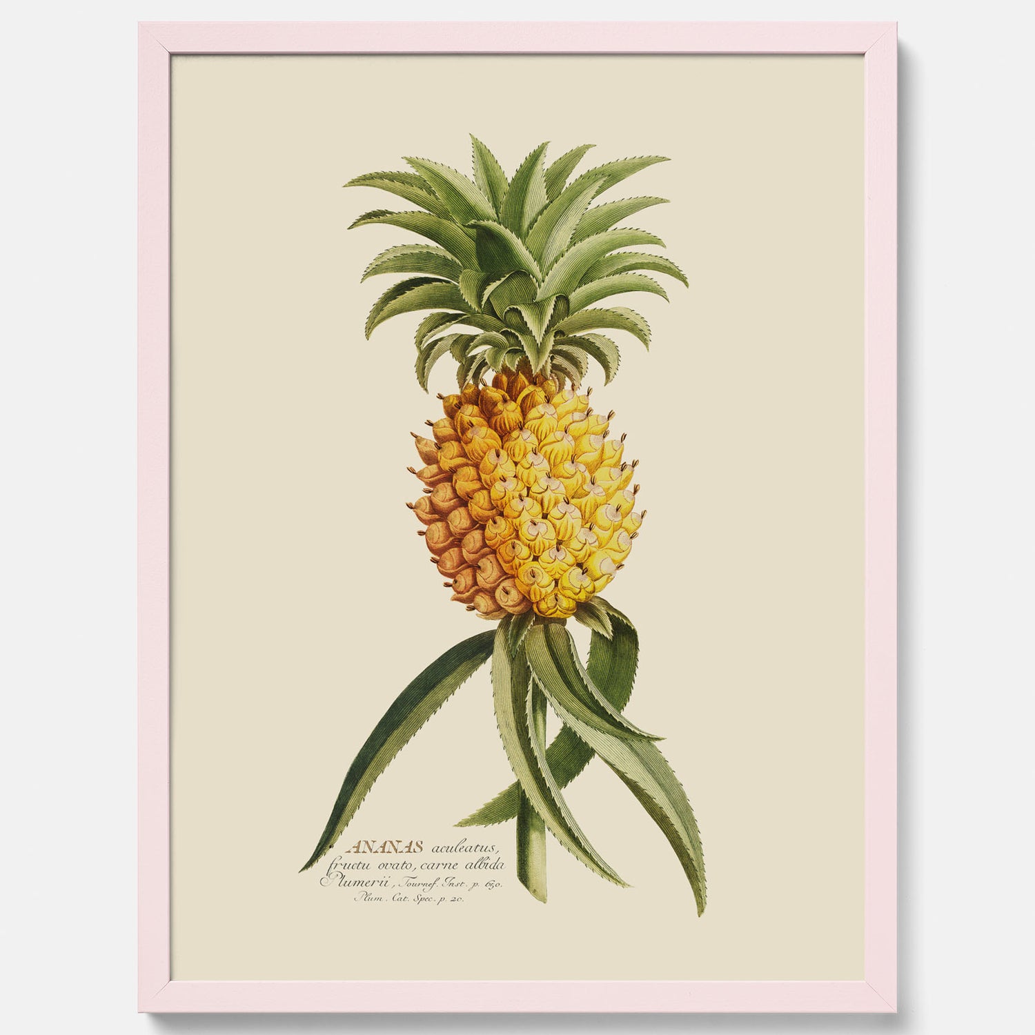 Kökstavla med en Ananas Poster – Plansch till köket, Skolposter, köksposter, tavla till kök, poster till kök