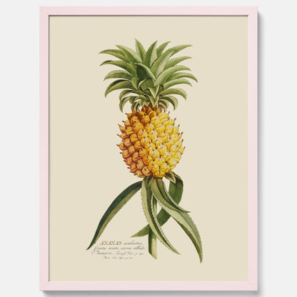 Kökstavla med en Ananas Poster – Plansch till köket, Skolposter, köksposter, tavla till kök, poster till kök