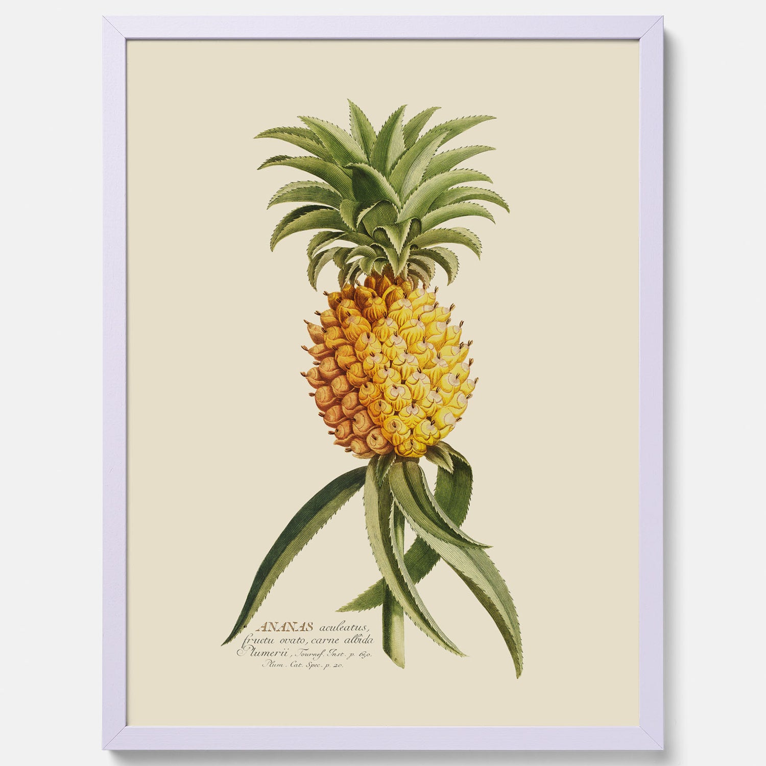 Kökstavla med en Ananas Poster – Plansch till köket, Skolposter, köksposter, tavla till kök, poster till kök