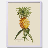 Kökstavla med en Ananas Poster – Plansch till köket, Skolposter, köksposter, tavla till kök, poster till kök