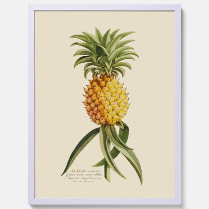 Kökstavla med en Ananas Poster – Plansch till köket, Skolposter, köksposter, tavla till kök, poster till kök