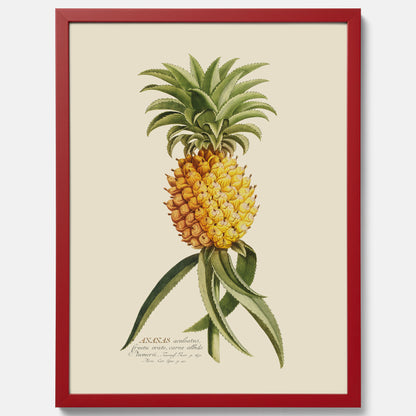Kökstavla med en Ananas Poster – Plansch till köket, Skolposter, köksposter, tavla till kök, poster till kök