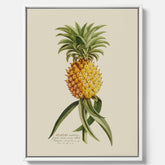 Kökstavla i canvas med en Ananas – Plansch till köket, Skolposter, köksposter, tavla till kök, poster till kök