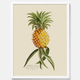 Kökstavla med en Ananas Poster – Plansch till köket, Skolposter, köksposter, tavla till kök, poster till kök