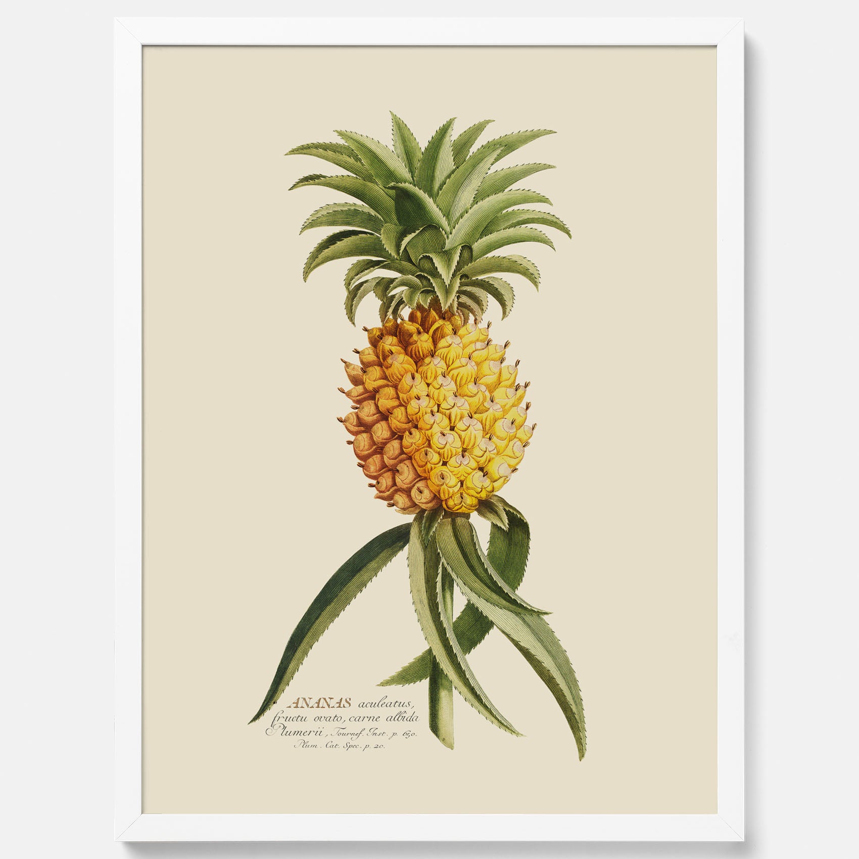 Kökstavla med en Ananas Poster – Plansch till köket, Skolposter, köksposter, tavla till kök, poster till kök