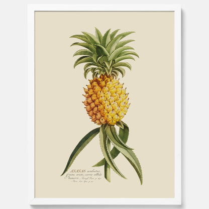 Kökstavla med en Ananas Poster – Plansch till köket, Skolposter, köksposter, tavla till kök, poster till kök