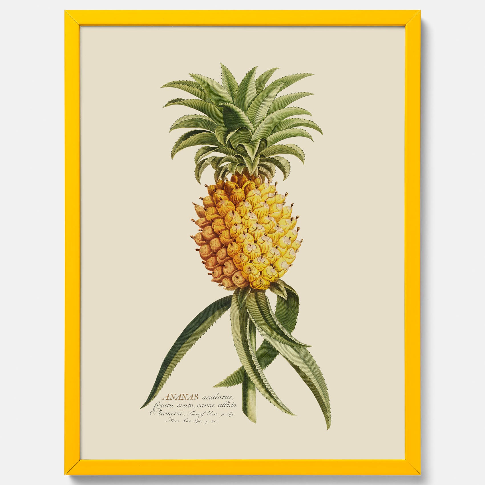 Kökstavla med en Ananas Poster – Plansch till köket, Skolposter, köksposter, tavla till kök, poster till kök