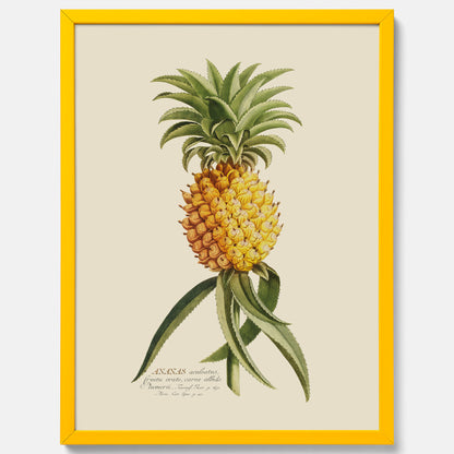 Kökstavla med en Ananas Poster – Plansch till köket, Skolposter, köksposter, tavla till kök, poster till kök
