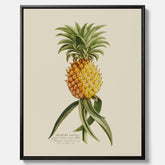 Kökstavla i canvas med en Ananas – Plansch till köket, Skolposter, köksposter, tavla till kök, poster till kök