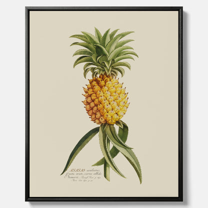 Kökstavla i canvas med en Ananas – Plansch till köket, Skolposter, köksposter, tavla till kök, poster till kök