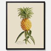 Kökstavla med en Ananas Poster – Plansch till köket, Skolposter, köksposter, tavla till kök, poster till kök