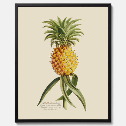 Kökstavla med en Ananas Poster – Plansch till köket, Skolposter, köksposter, tavla till kök, poster till kök