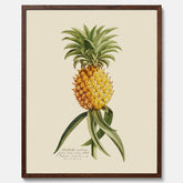 Kökstavla med en Ananas Poster – Plansch till köket, Skolposter, köksposter, tavla till kök, poster till kök