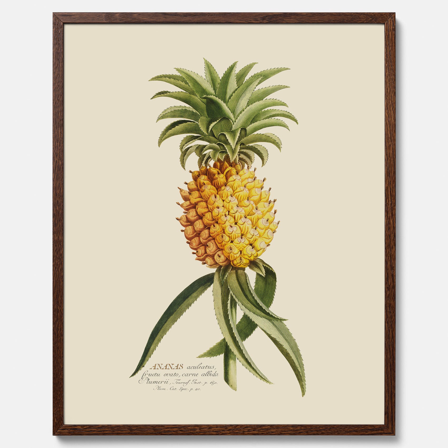 Kökstavla med en Ananas Poster – Plansch till köket, Skolposter, köksposter, tavla till kök, poster till kök