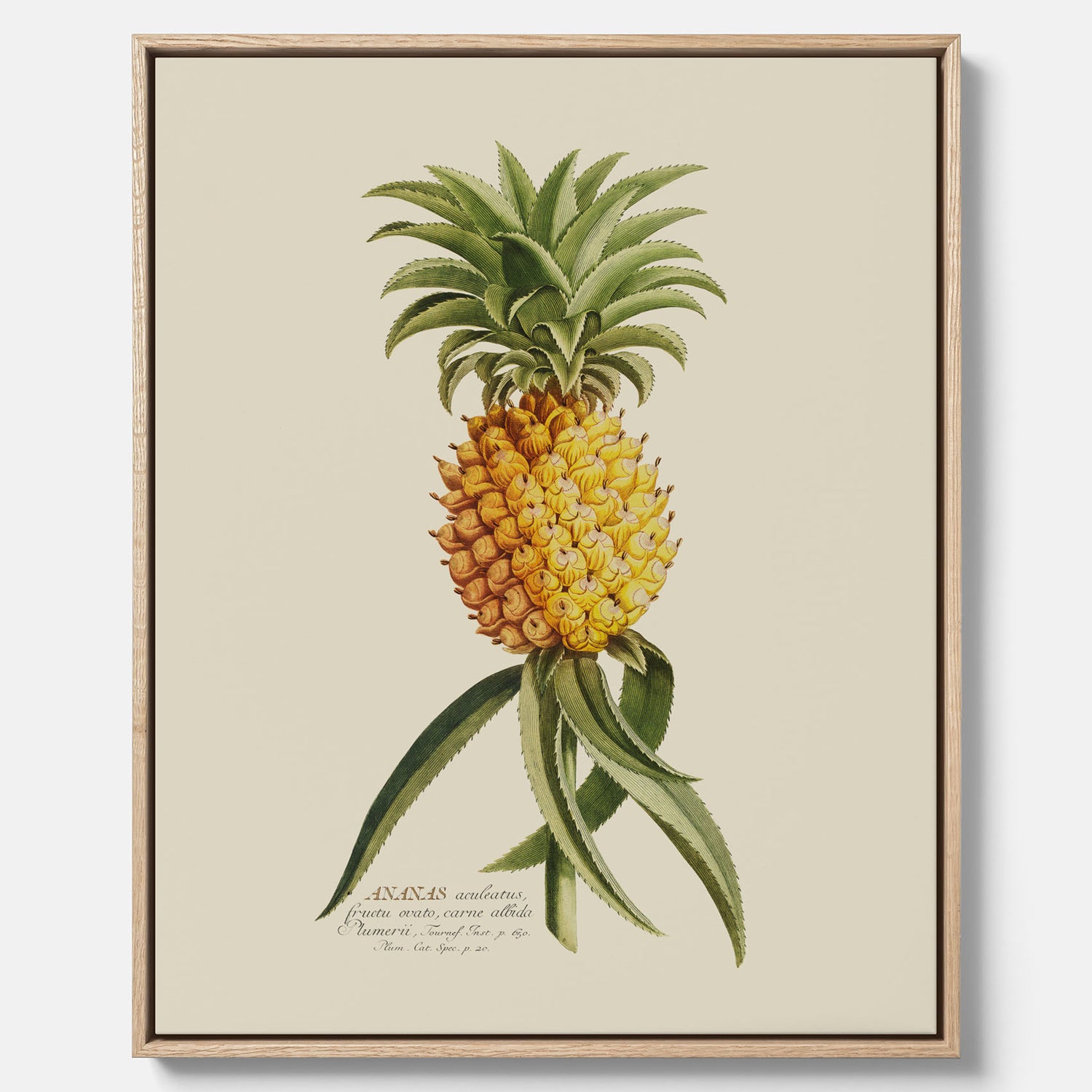 Kökstavla i canvas med en Ananas – Plansch till köket, Skolposter, köksposter, tavla till kök, poster till kök