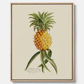 Kökstavla i canvas med en Ananas – Plansch till köket, Skolposter, köksposter, tavla till kök, poster till kök