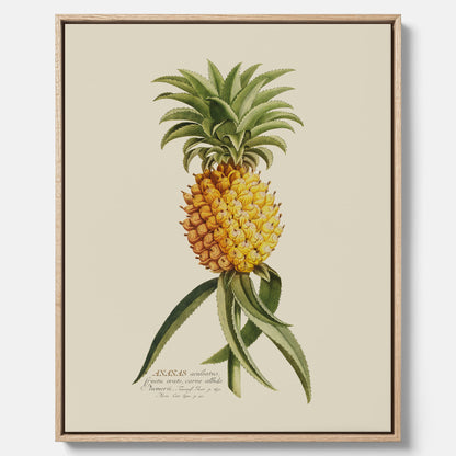 Kökstavla i canvas med en Ananas – Plansch till köket, Skolposter, köksposter, tavla till kök, poster till kök