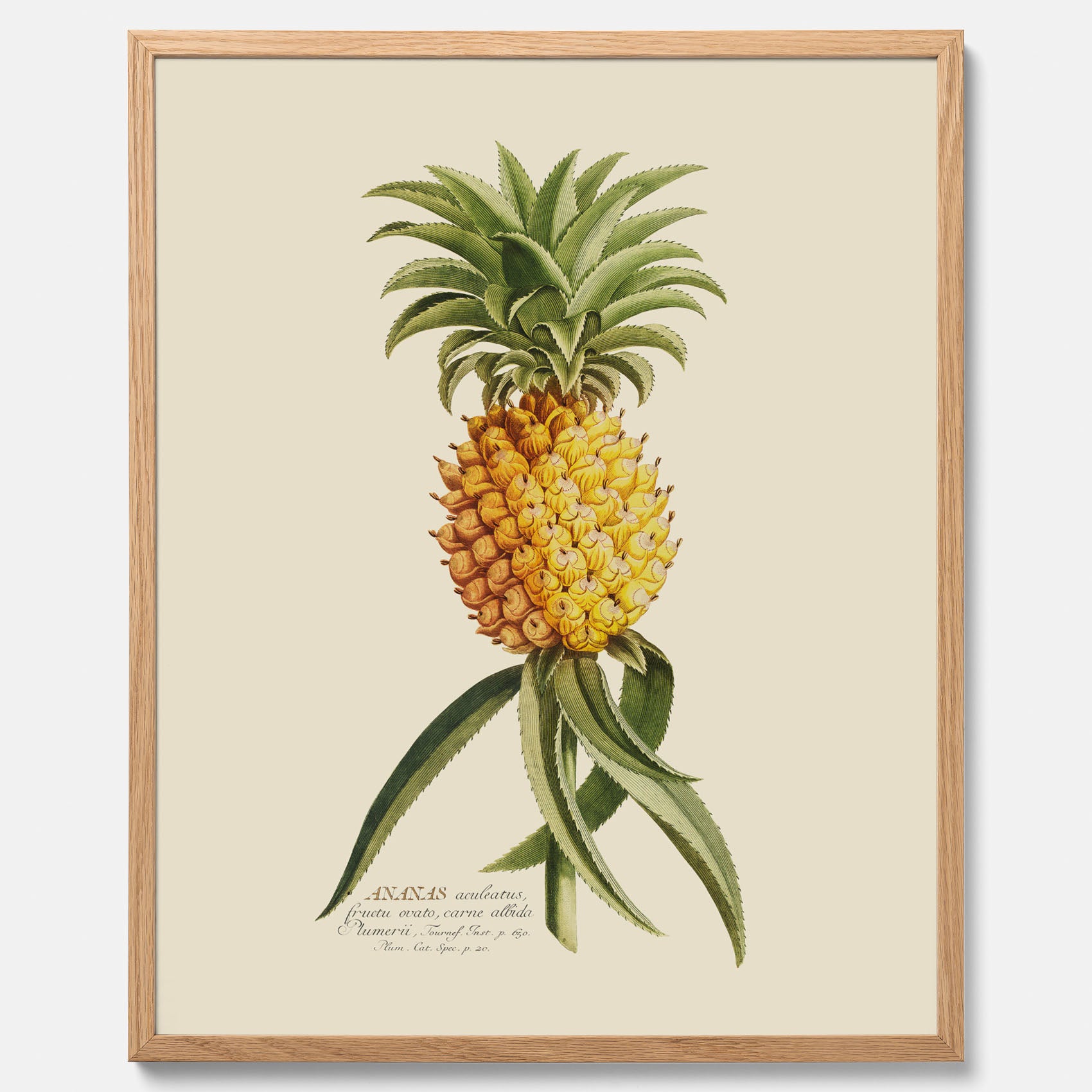 Kökstavla med en Ananas Poster – Plansch till köket, Skolposter, köksposter, tavla till kök, poster till kök