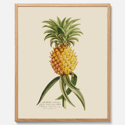 Kökstavla med en Ananas Poster – Plansch till köket, Skolposter, köksposter, tavla till kök, poster till kök