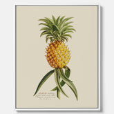 Kökstavla i canvas med en Ananas – Plansch till köket, Skolposter, köksposter, tavla till kök, poster till kök