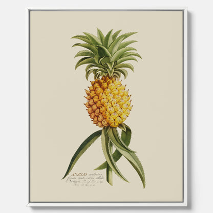 Kökstavla i canvas med en Ananas – Plansch till köket, Skolposter, köksposter, tavla till kök, poster till kök