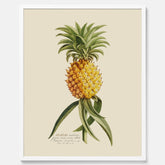 Kökstavla med en Ananas Poster – Plansch till köket, Skolposter, köksposter, tavla till kök, poster till kök