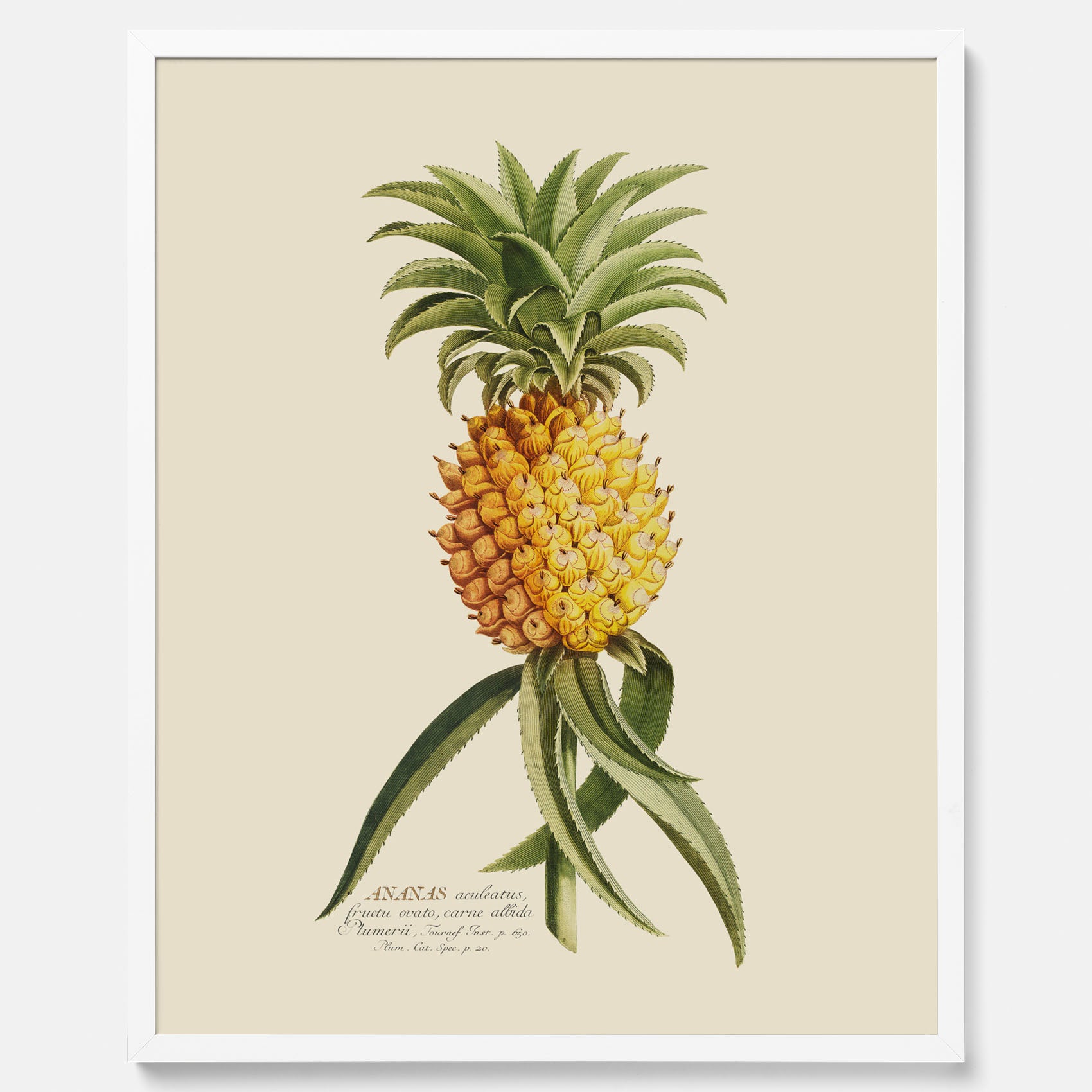 Kökstavla med en Ananas Poster – Plansch till köket, Skolposter, köksposter, tavla till kök, poster till kök