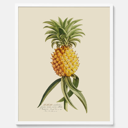 Kökstavla med en Ananas Poster – Plansch till köket, Skolposter, köksposter, tavla till kök, poster till kök