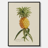 Kökstavla i canvas med en Ananas – Plansch till köket, Skolposter, köksposter, tavla till kök, poster till kök