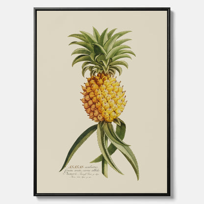 Kökstavla i canvas med en Ananas – Plansch till köket, Skolposter, köksposter, tavla till kök, poster till kök