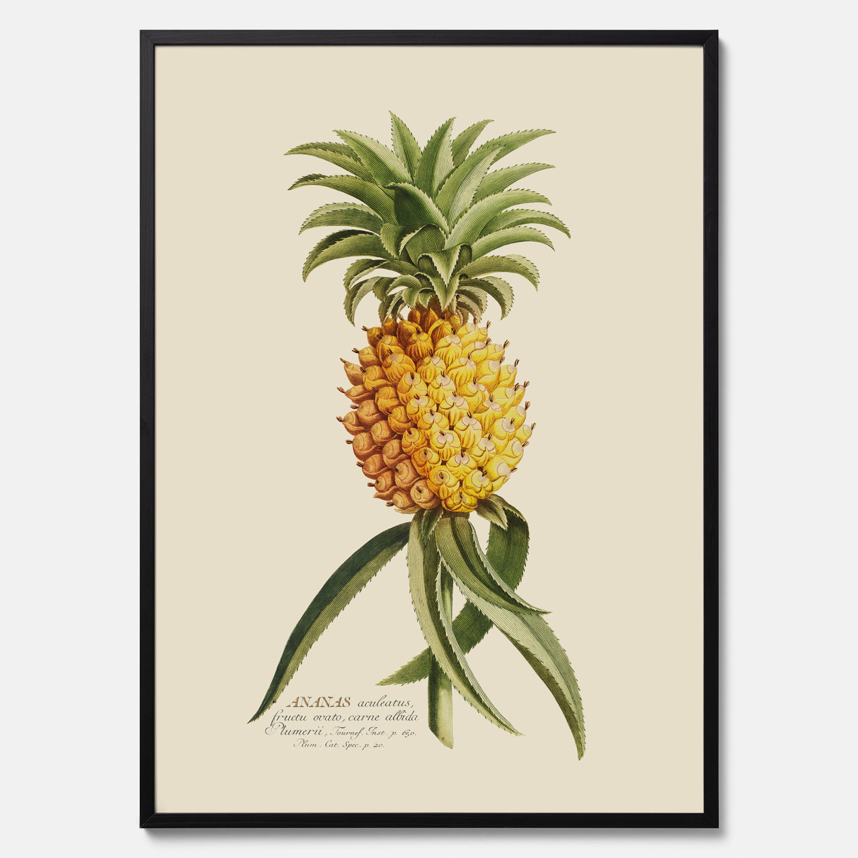 Kökstavla med en Ananas Poster – Plansch till köket, Skolposter, köksposter, tavla till kök, poster till kök