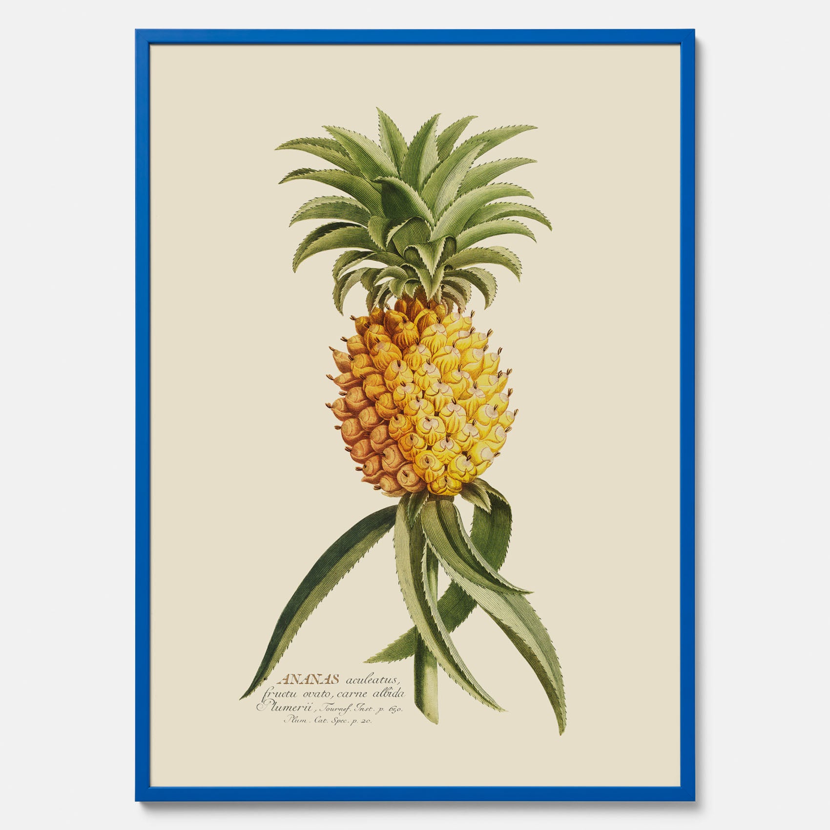 Kökstavla med en Ananas Poster – Plansch till köket, Skolposter, köksposter, tavla till kök, poster till kök