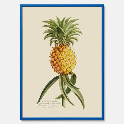 Kökstavla med en Ananas Poster – Plansch till köket, Skolposter, köksposter, tavla till kök, poster till kök