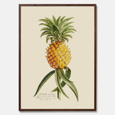 Kökstavla med en Ananas Poster – Plansch till köket, Skolposter, köksposter, tavla till kök, poster till kök