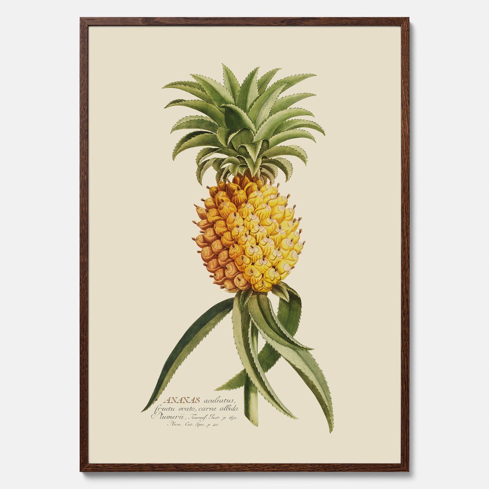 Kökstavla med en Ananas Poster – Plansch till köket, Skolposter, köksposter, tavla till kök, poster till kök