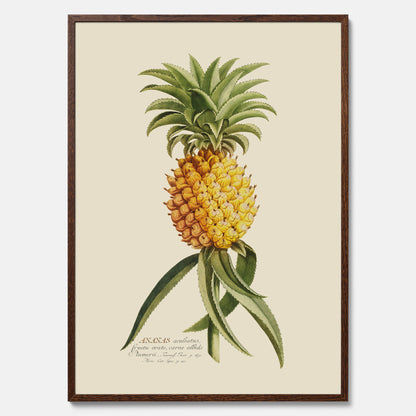 Kökstavla med en Ananas Poster – Plansch till köket, Skolposter, köksposter, tavla till kök, poster till kök