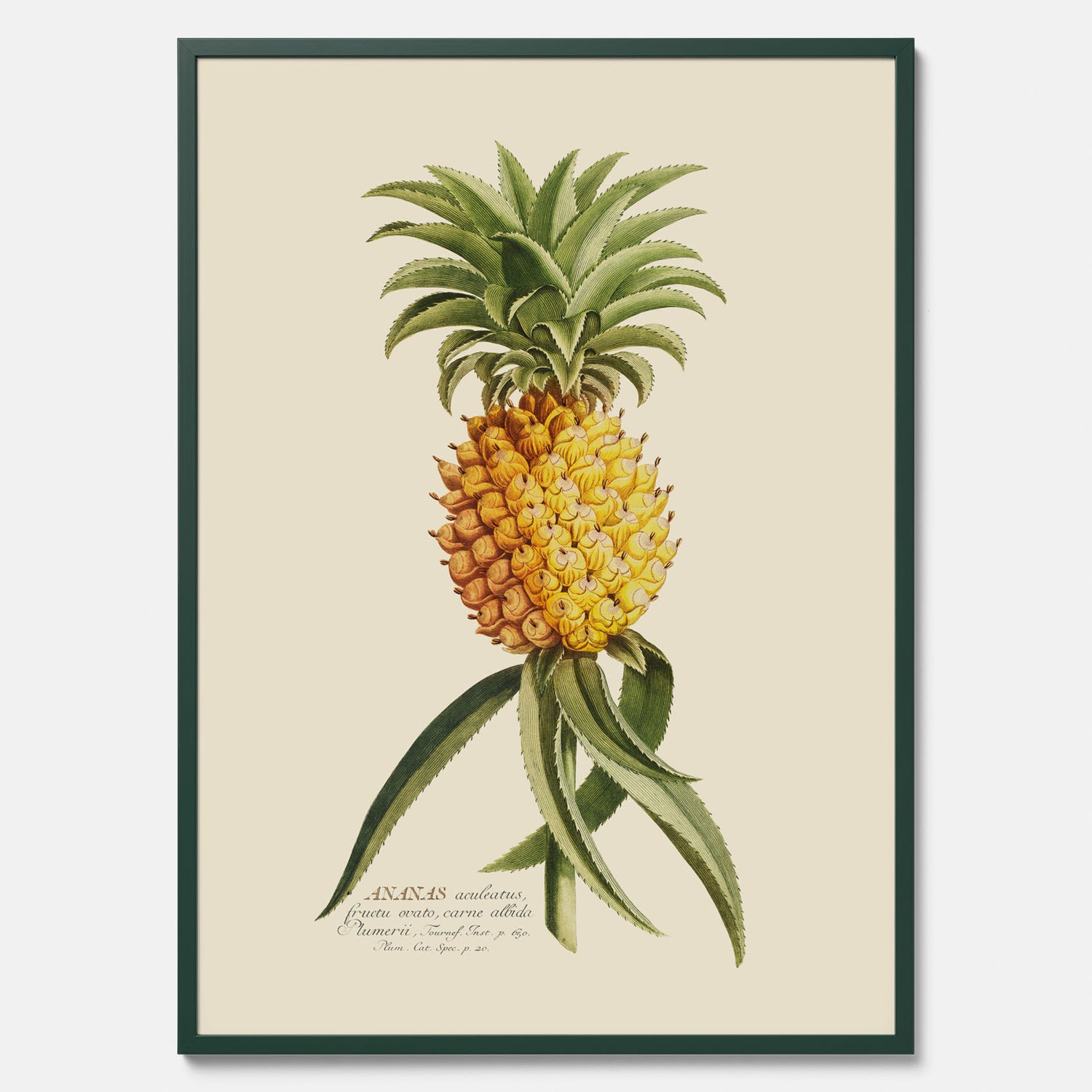 Kökstavla med en Ananas Poster – Plansch till köket, Skolposter, köksposter, tavla till kök, poster till kök