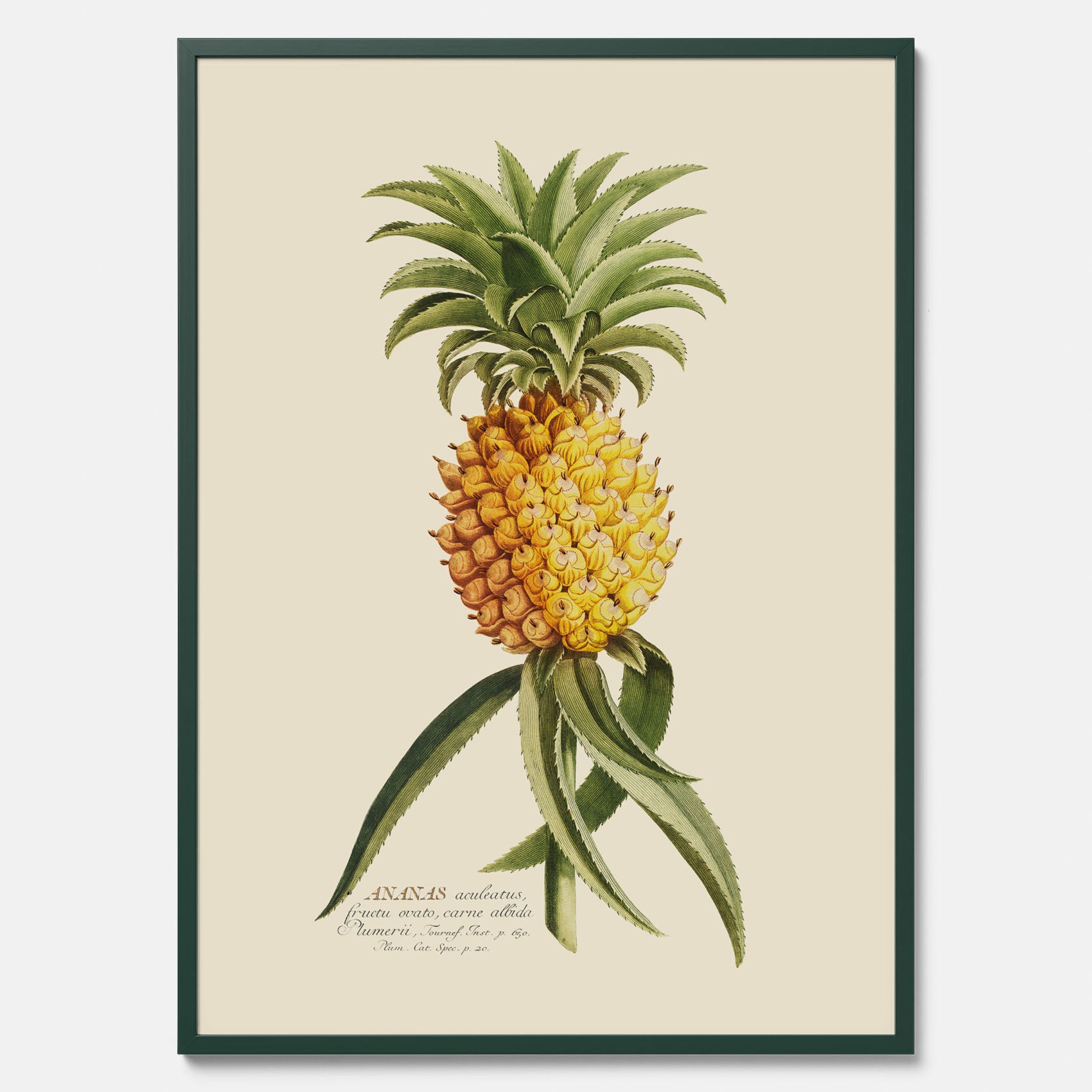Kökstavla med en Ananas Poster – Plansch till köket, Skolposter, köksposter, tavla till kök, poster till kök